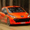 CW Lavanttal Rally 2012 139